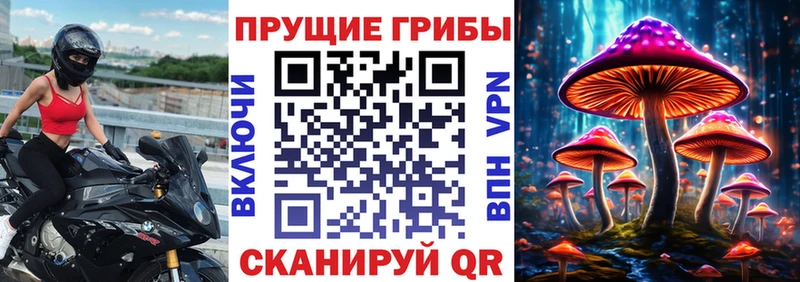 купить наркотики цена  kraken зеркало  Галлюциногенные грибы мухоморы  Салаир 